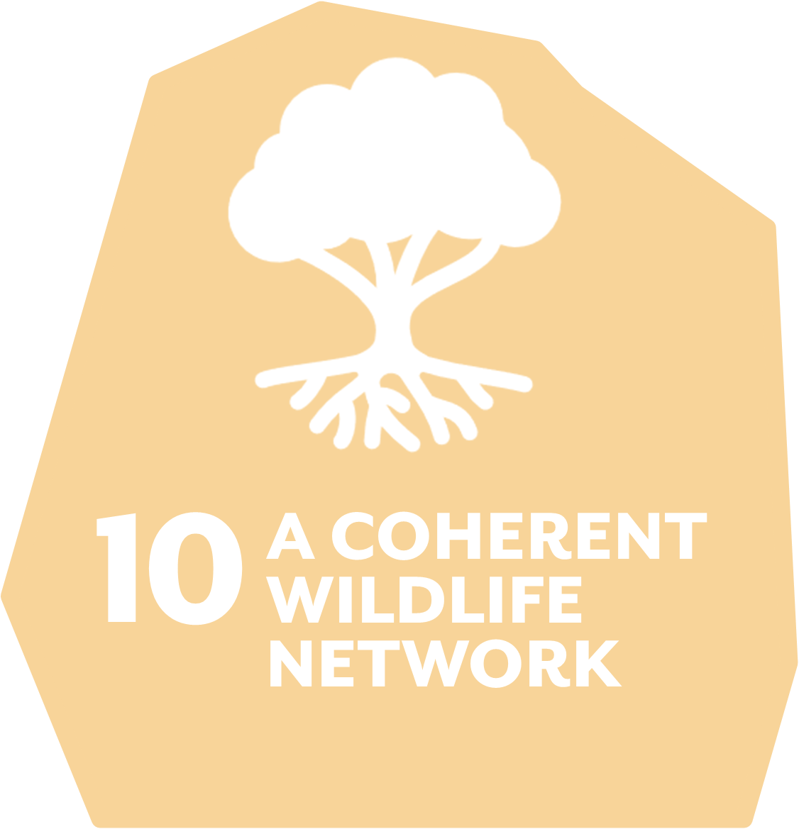 A Coherent Wildlife Network Charnwood Forest Geopark a-coherent-wildlife-network-charnwood-forest-geopark