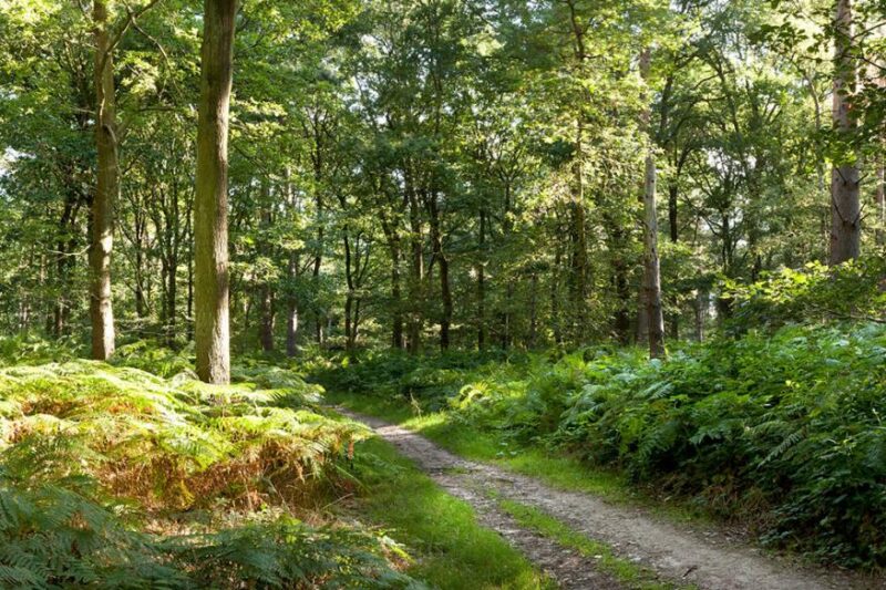Where To Visit Charnwood Forest Geopark