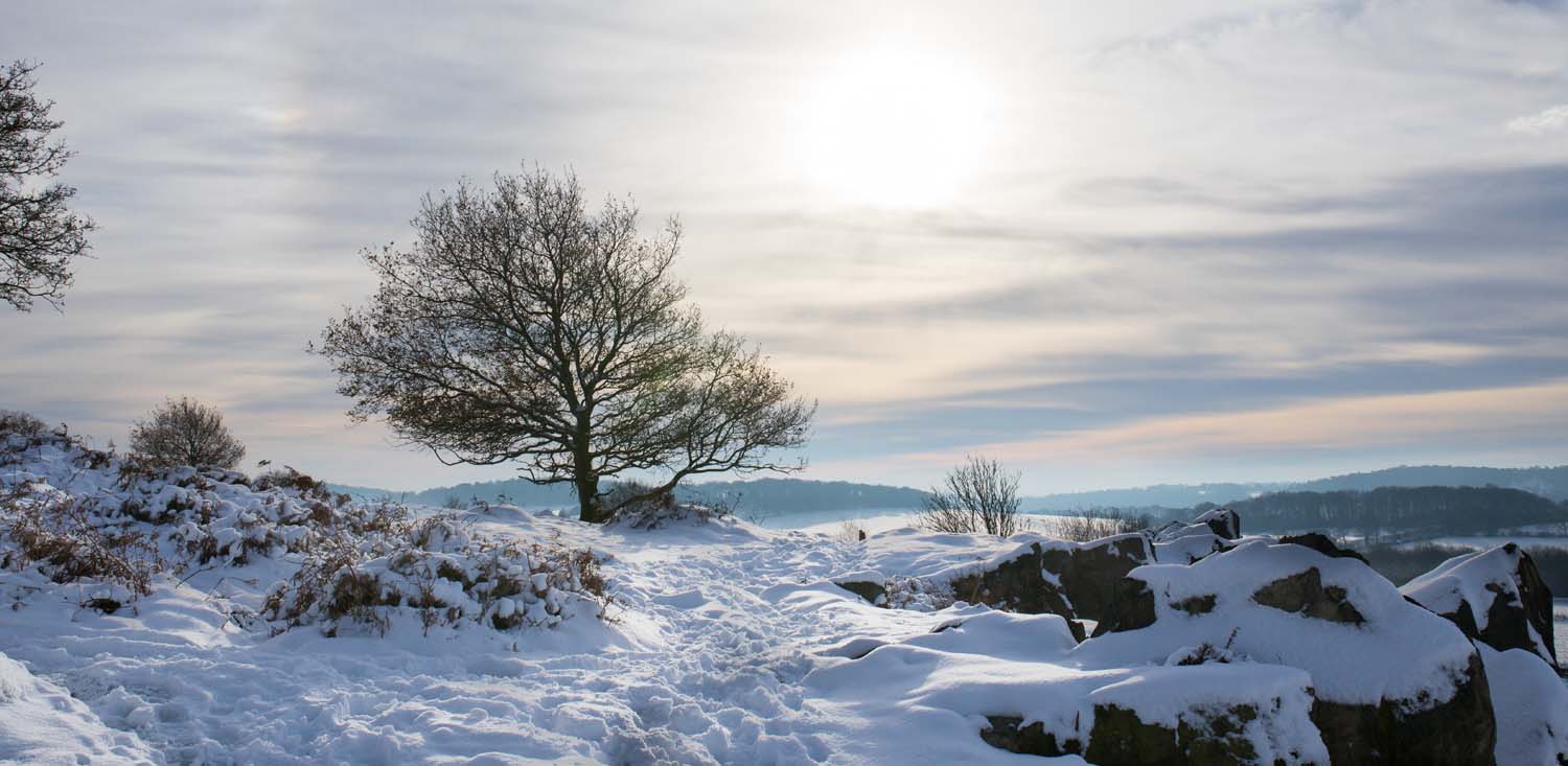 A view of Beacon Hill in the snow, with rocks and trees