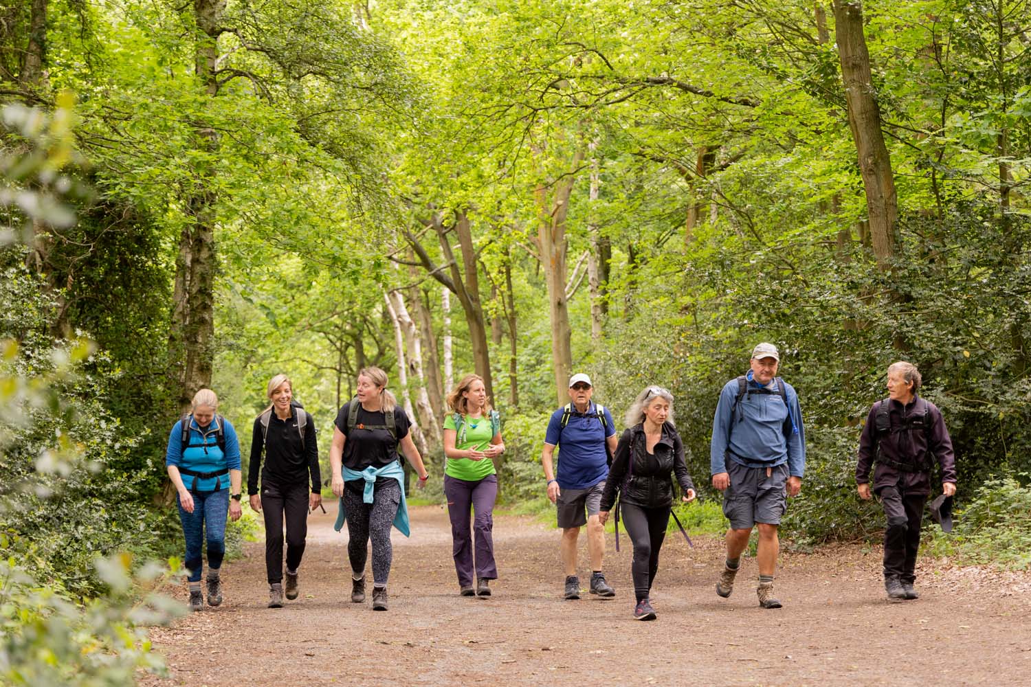 A guided tour group walks through the green woodland at Beacon Hill