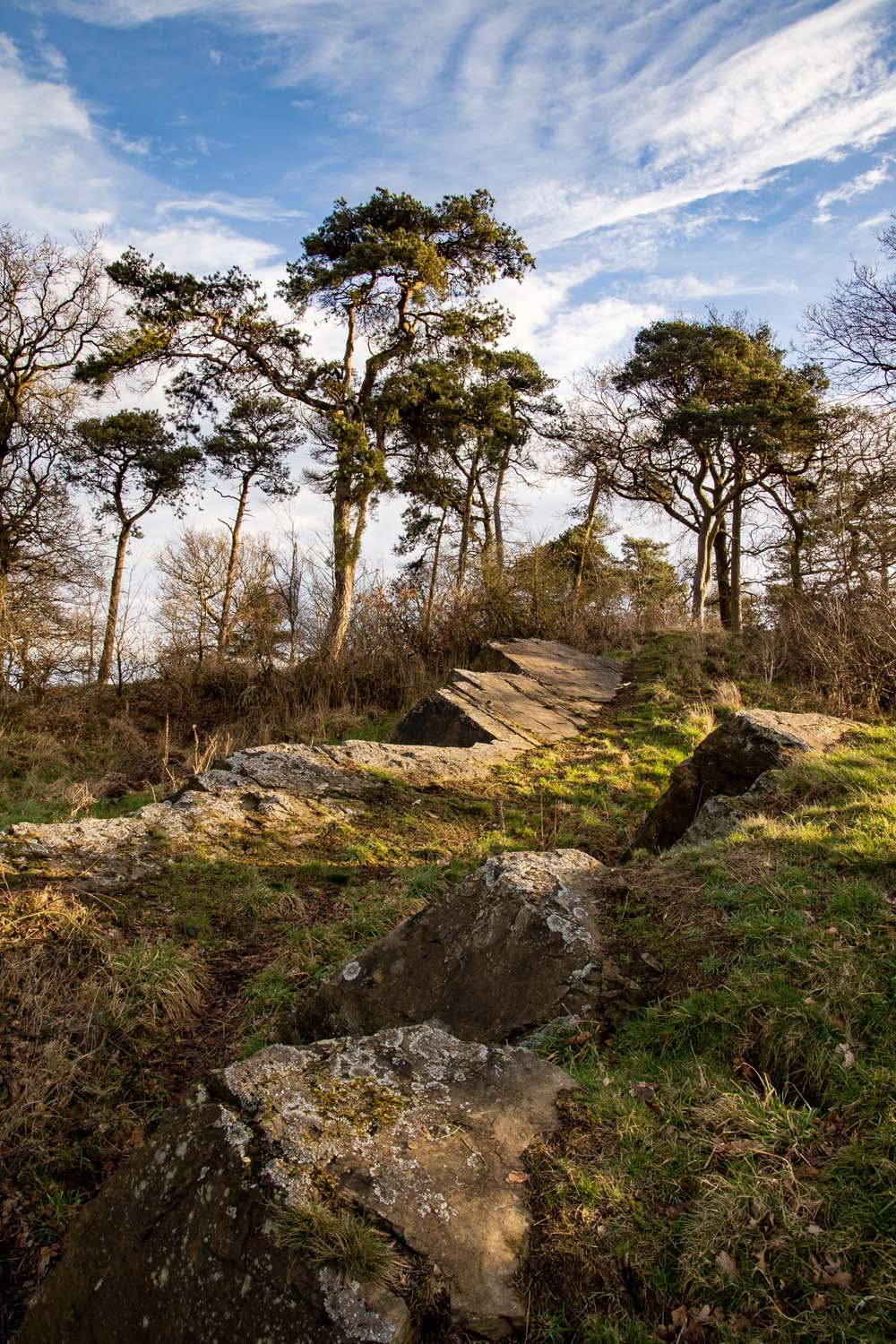 Inclined rocky crags, with several trees in the middle distance