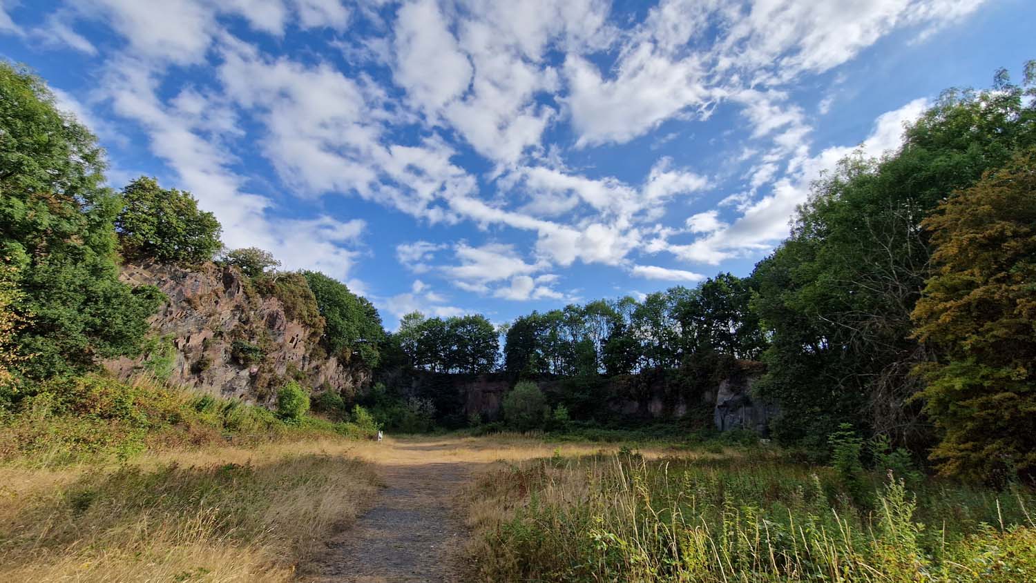 A sunny day at Morley Quarry Local Nature Reserve