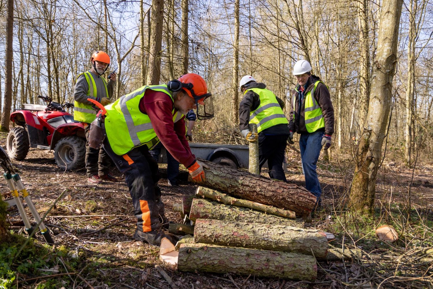 Four volunteers move logs of wood onto a small trailer