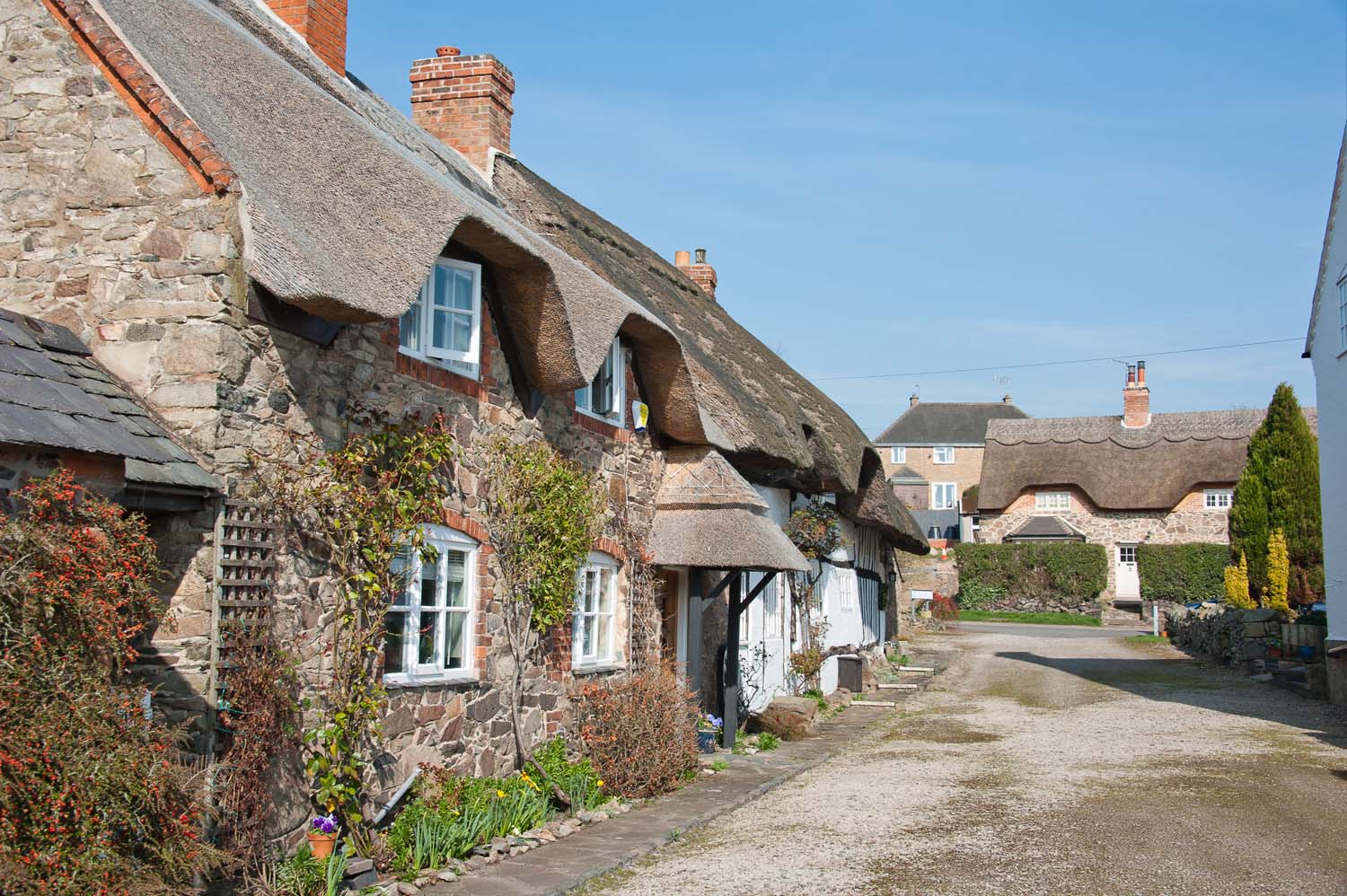 A stone cottage with a thatched roof. There are others in the distance.