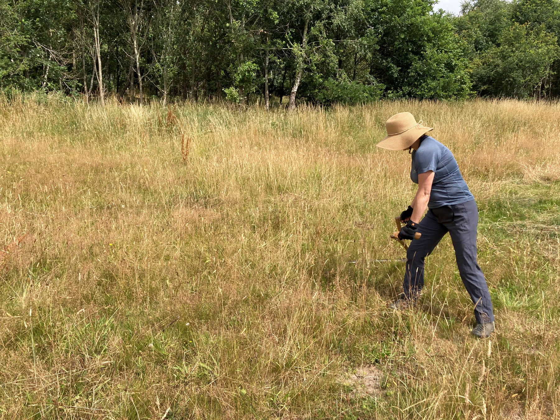 A woman in a field of long grass holding a scythe