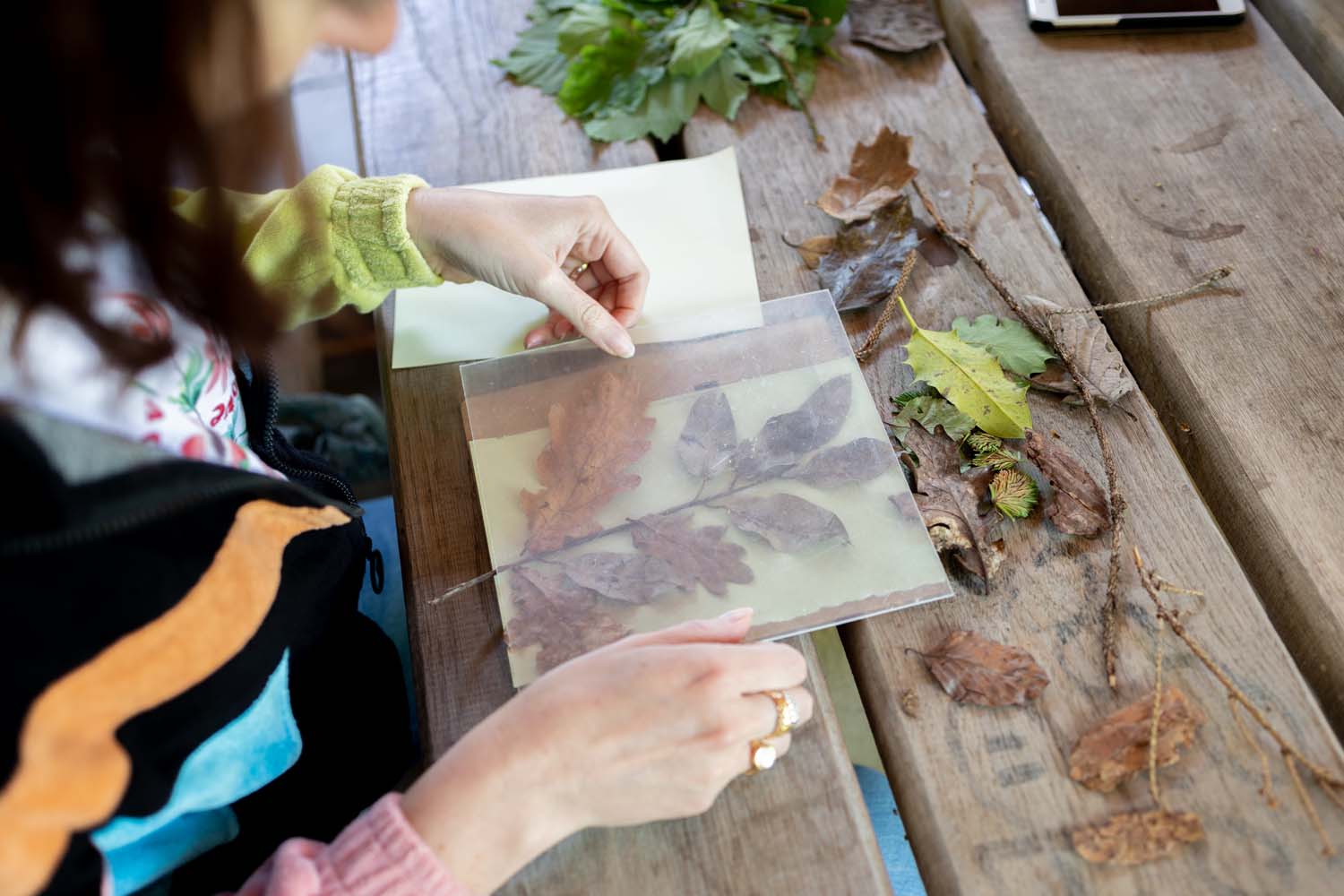 An artist is making a cyanotype using leaves