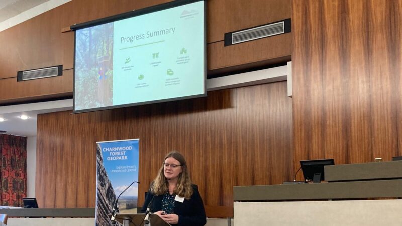 A presenter is speaking in front of a screen that says "Progress Summary"