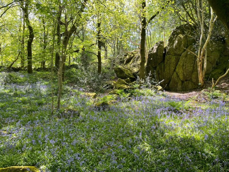 Small Grant Schemes Charnwood Forest Geopark