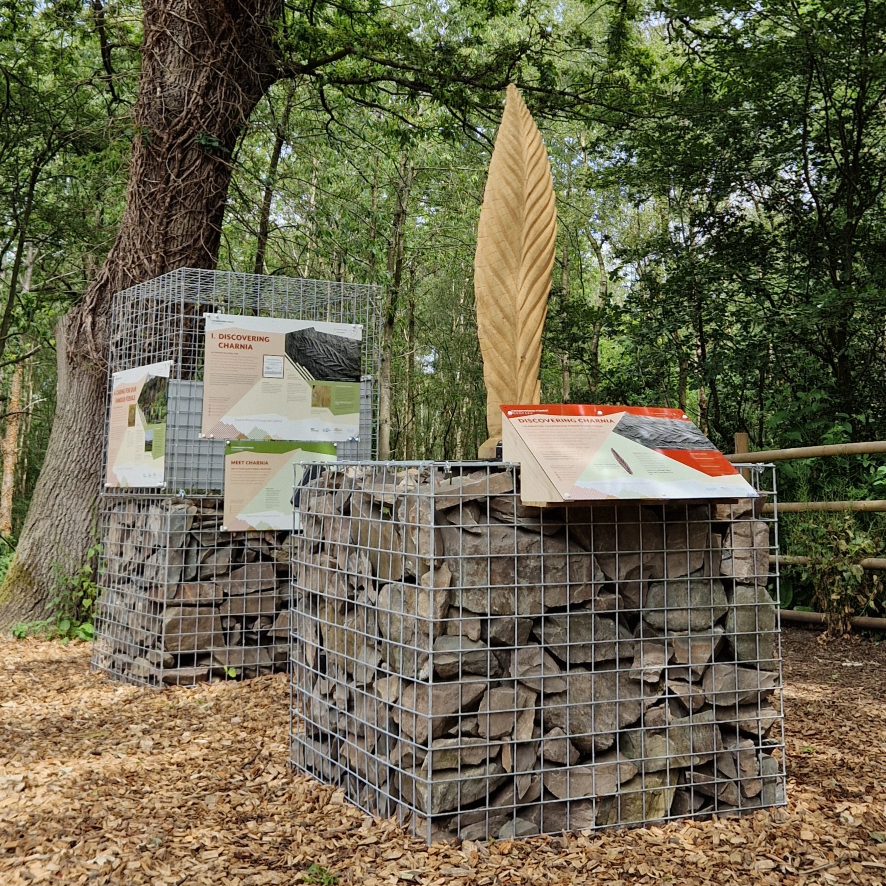 Discovering Charnia at Outwoods - Charnwood Forest Geopark