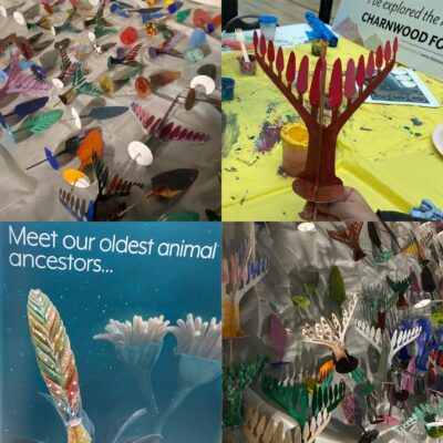 Composite image of decorated fossil models