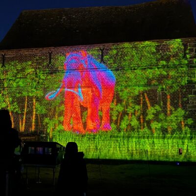 A mammoth projected onto the ruins of Bradgate Park