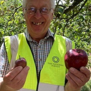 Tim demonstrates the different size of apples from pruned and non-pruned trees.